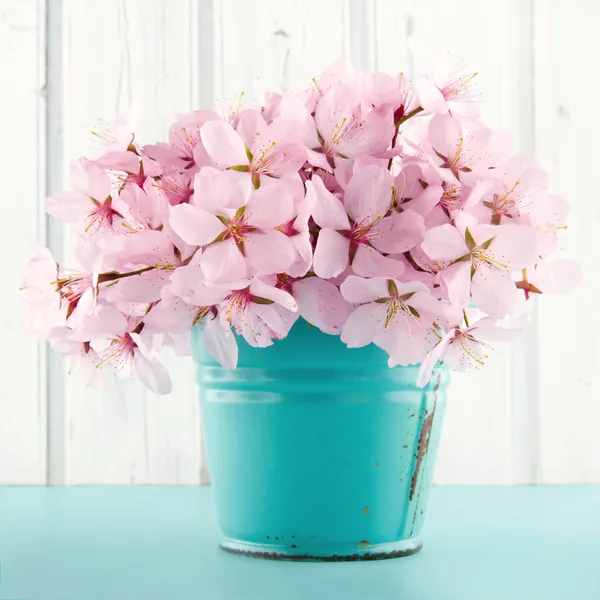 Třešňový květ kytice — Stock fotografie