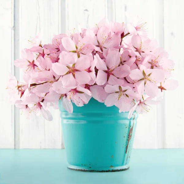 Cherry blossom flower bouquet — Stock Photo, Image