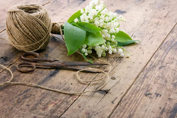 Bouquet di lilys della valle — Foto Stock