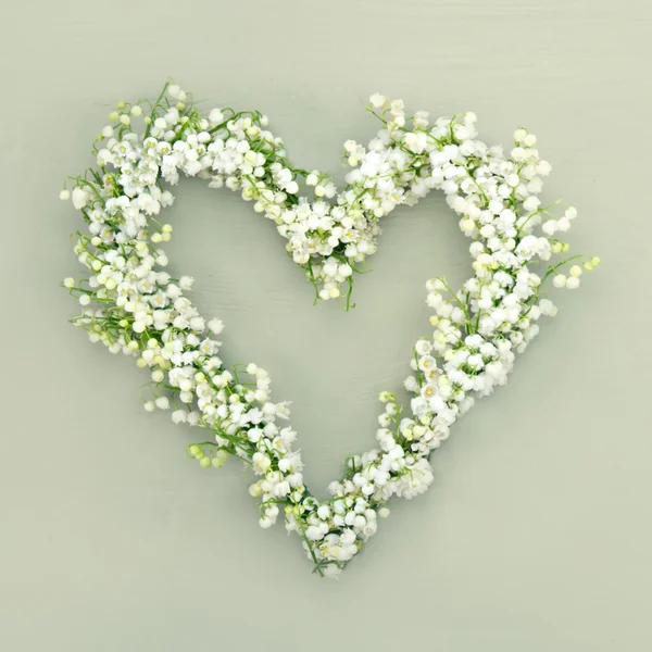 Heart shaped flower wreath on green background — Stock Photo, Image