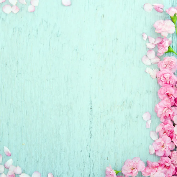 Blue wooden background with pink flowers — Stock Photo, Image