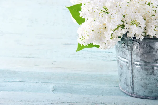 Ramo de lilas blancas —  Fotos de Stock