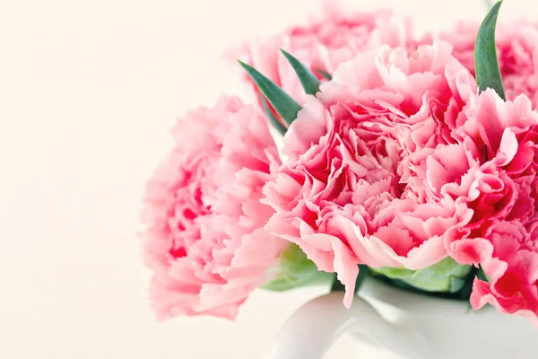 Closeup of pink carnations — Stock Photo, Image