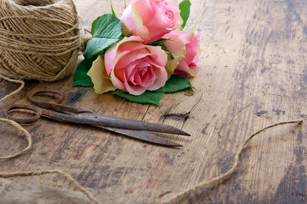 Rose rosa con vecchie forbici antiche arrugginite — Foto Stock