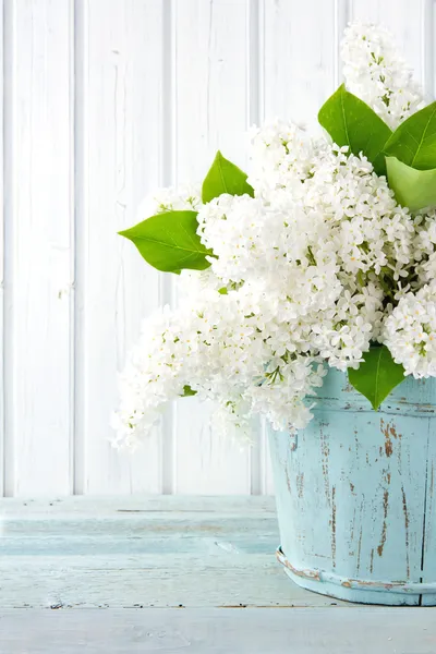 Flores de primavera lila blanca en un jarrón azul — Foto de Stock