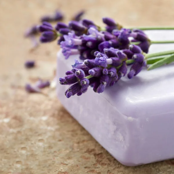 Bar of lavender spa soap — Stock Photo, Image