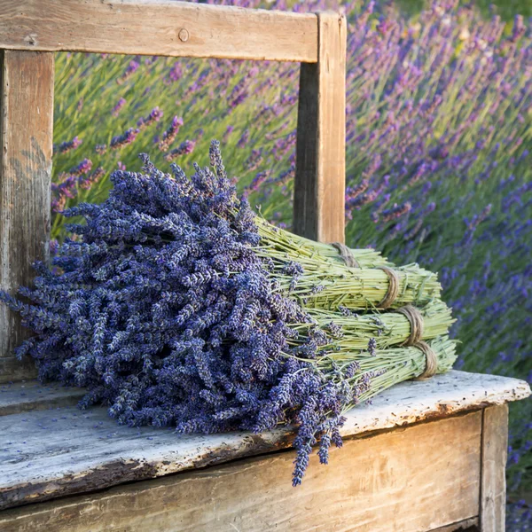 Sträuße auf Lavendel auf einer alten Bank — Stockfoto