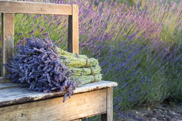 Bouquets em lavenders em um banco velho de madeira — Fotografia de Stock