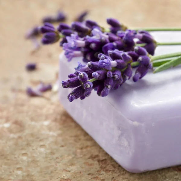 Bar of lavender spa soap Royalty Free Stock Photos