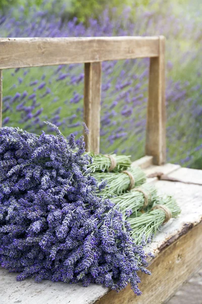 Tumpukan karangan bunga lavender di bangku kayu — Stok Foto