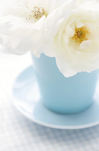 Rosa fiore in un vaso azzurro — Foto Stock