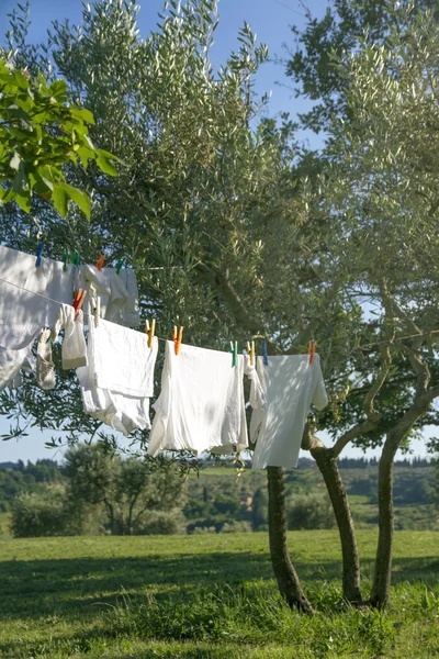 Çamaşırlar çamaşır ipinde kuruyor. — Stok fotoğraf