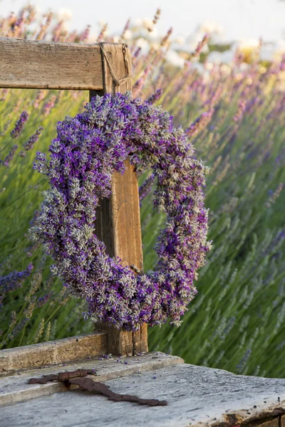 Lavendel krans i en sommarträdgård — Stockfoto