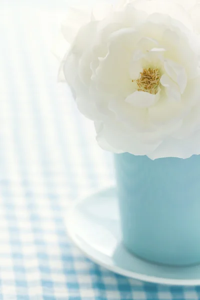 Rose in a vase on vintage background — Stock Photo, Image