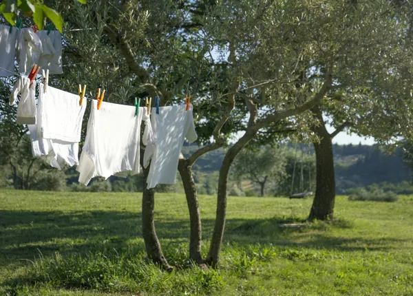 Camisetas blancas limpias secándose en un tendedero —  Fotos de Stock