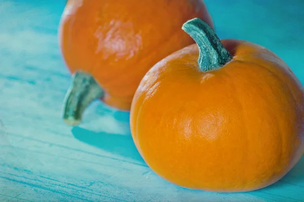 Two halloween pumpkins — Stock Photo, Image
