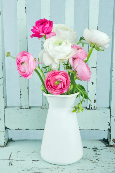 White and pink ranunculus flowers — Stock Photo, Image