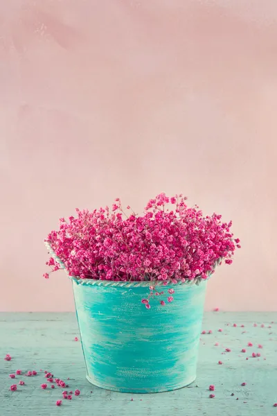 Baby van adem bloemen in een vaas blauw — Stockfoto