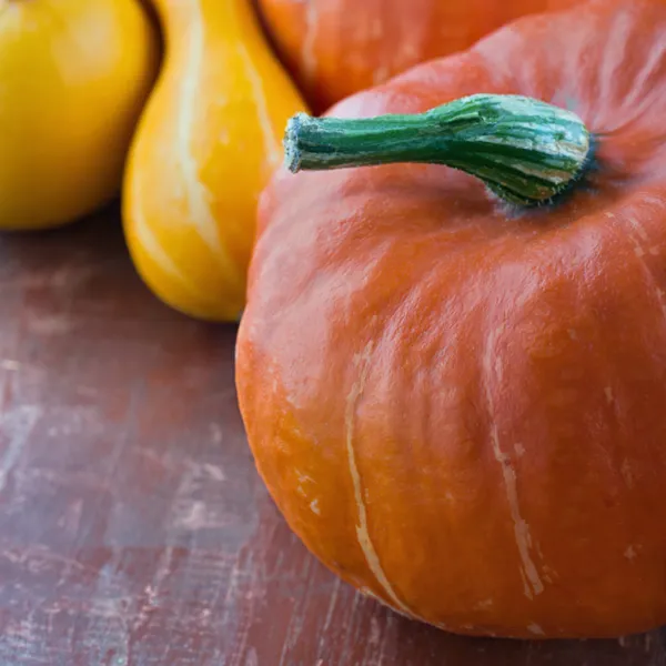 Orange and yellow halloween pumpkins — Stock Photo, Image