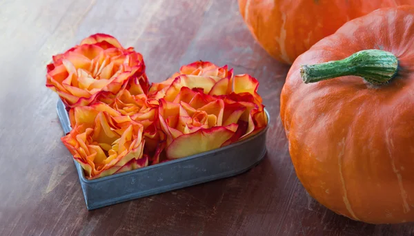 Orange roses in a heart shape with halloween pumpkins — Stock Photo, Image