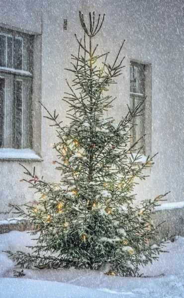 Weihnachtsbaum draußen im verschneiten Garten — Stockfoto
