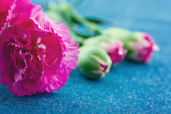 Blumen in einer Metalldose auf deminblauem Hintergrund — Stockfoto