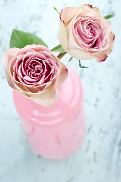 Roses in a glass bottle — Stock Photo, Image