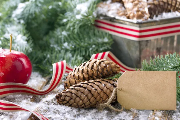 Saudações de Natal — Fotografia de Stock