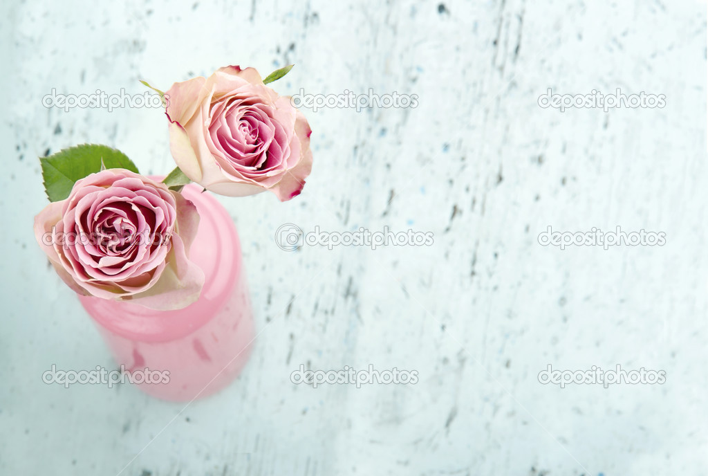 Pink roses with copy space