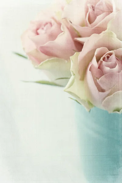 Vintage pink roses — Stock Photo, Image