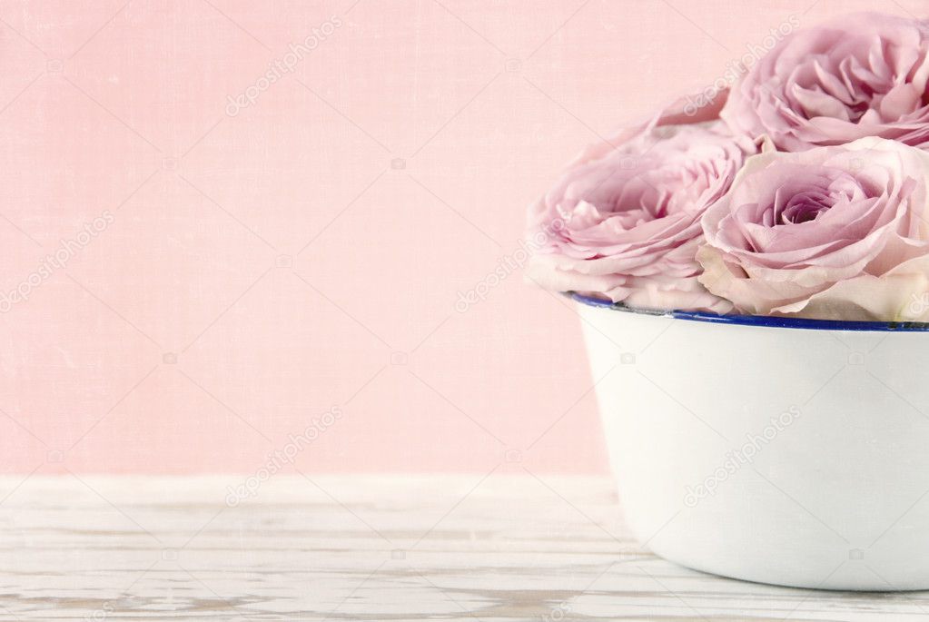 Pink roses in a white old vase