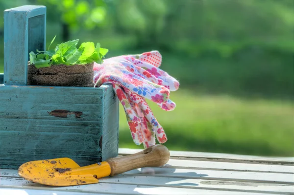 青い木製ツール ボックスの園芸工具 — ストック写真