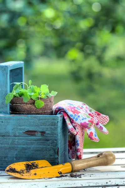 Gartengeräte in einem blauen Holzwerkzeugkasten — Stockfoto