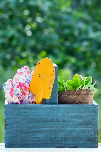 Herramientas de jardinería en una caja de herramientas de madera — Foto de Stock