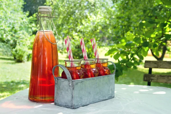 Red strawberry juice in green summer garden — Stock Photo, Image
