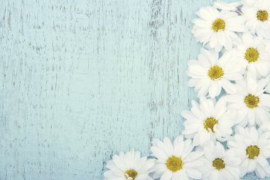 antika arka plan beyaz papatya ile