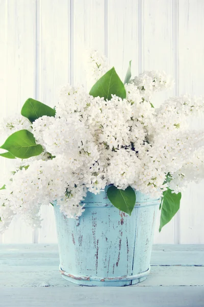 Ramo de lilas blancas — Foto de Stock