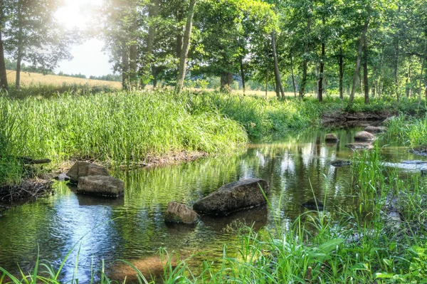 Small stream of water — Stock Photo, Image