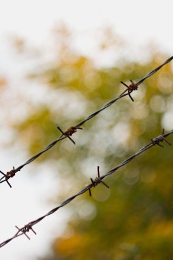 Renkli bir arkaplanda dikenli tel.