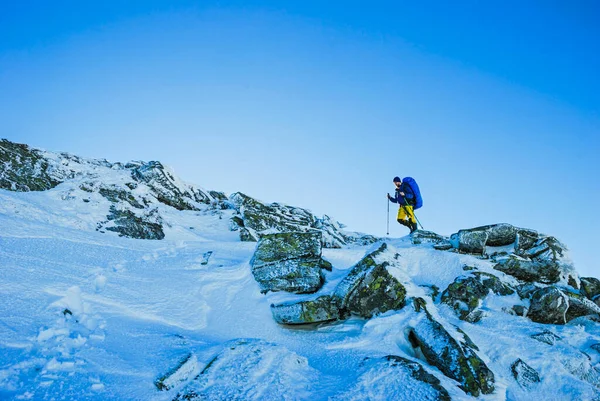 Traveler Walks Rocky Snow Ridge Winter Sun — Stock Photo, Image