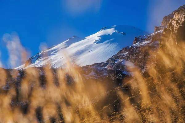 位于皮科 奥里萨巴山顶的冰川 有草的斜坡 — 图库照片