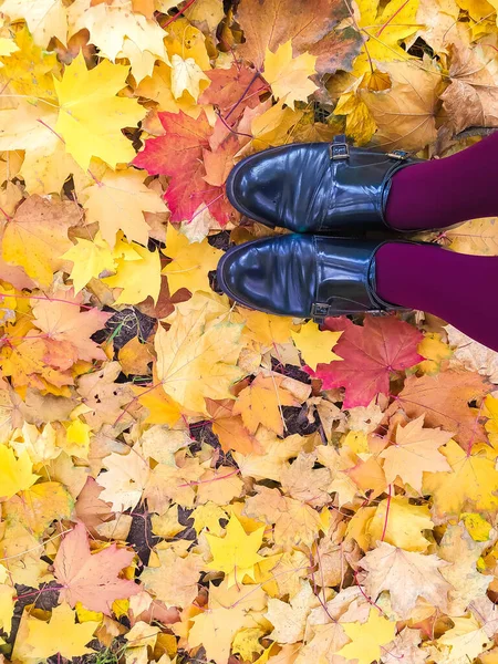 Womens feet in autumn shoes against the background of fallen yellow maple foliage in the park.