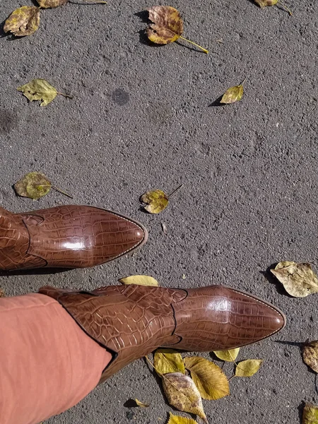 Bottes pour femmes ou hommes sont marron dans le style cow-boy. Une paire de chaussures d'automne à la mode sont habillées sur leurs pieds. — Photo