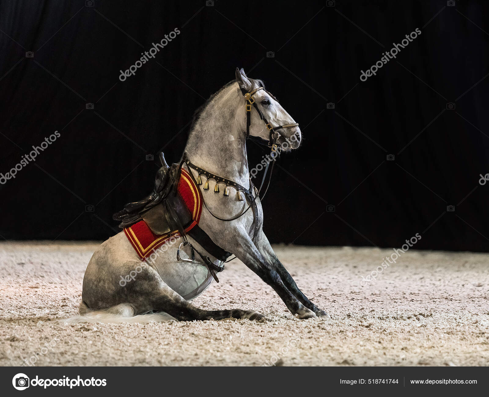 Cavalo Levantando Os Pés Da Frente Dentro De Um Contorno De