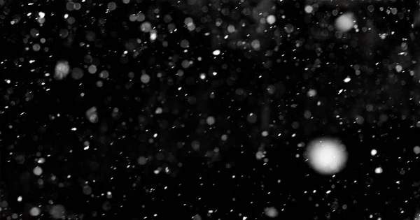 Nieve real cayendo sobre un fondo negro para su uso en modo superposición en Photoshop. —  Fotos de Stock