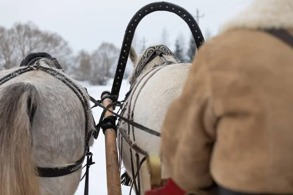 雪原のロシアの伝統的なトロイカ。後景. — ストック写真