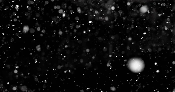 Nieve real cayendo sobre un fondo negro para su uso en modo superposición en editor gráfico. —  Fotos de Stock