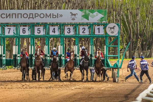 2021年5月16日ロシアモスクワ。アラブの馬のジャンプ。背景にボックスを起動します。夏 — ストック写真