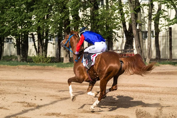 2021年5月16日、ロシア、モスクワ。中央競馬場でのアラビア馬のレース。後ろの景色。カメラに背を向けてジョッキー — ストック写真