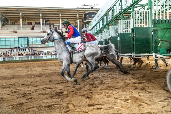 2021年5月16日ロシアモスクワ。セントラル・ヒッポドローム。スタートボックスから始まる馬の瞬間に. — ストック写真